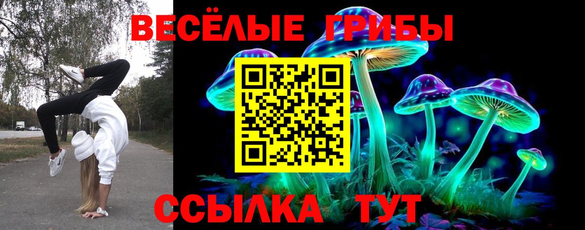 сколько стоит  Вход с VPN  Красноуфимск  Псилоцибиновые грибы Psilocybe 